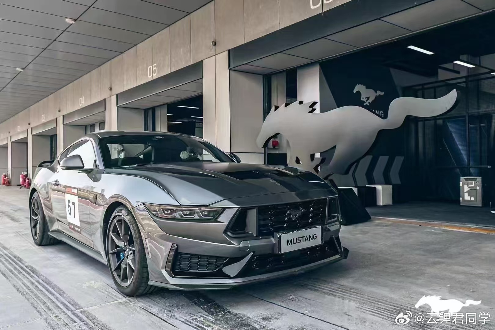 野马撸最新动态，驾驭变化，自信成就梦想之旅