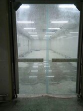 最新自由门,开启你的自由之旅