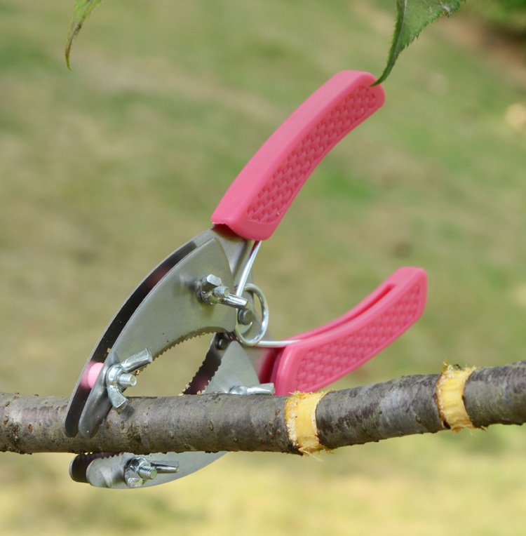 最新果树环割刀,探寻自然美景的轻松之旅