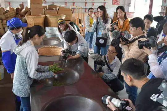 青草最新在线视频,自然与科技融合之美展现的力量