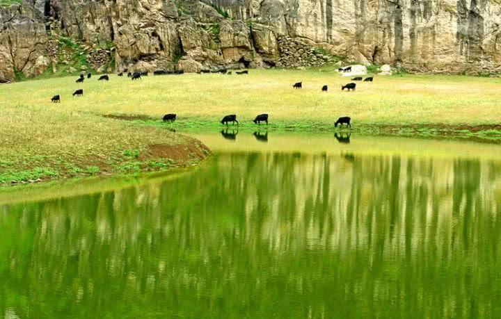 青草最新在线视频,自然与科技融合之美展现的力量