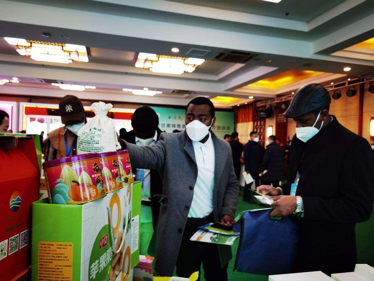 甘肃洋葱最新行情,学习变化,提升自信与成就感之路