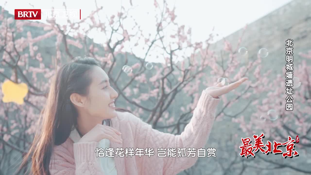 艳香迷醉,最新章节及其背景、事件与影响全解析