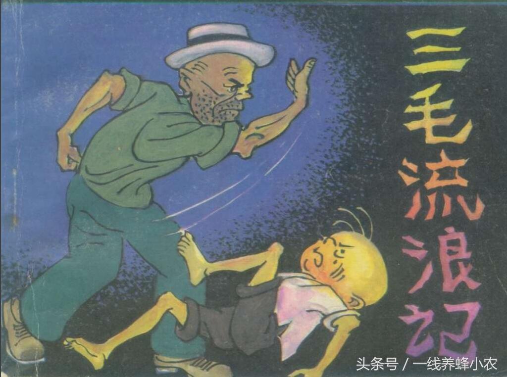 上海三毛最新动态，自然美景探索之旅启幕