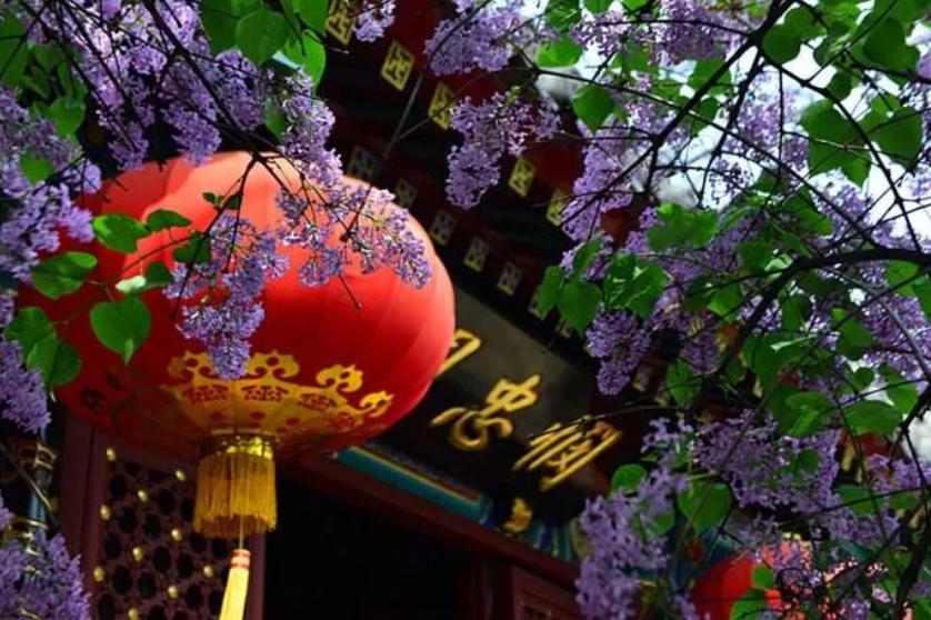 菜市口腾退最新动态与步骤指南