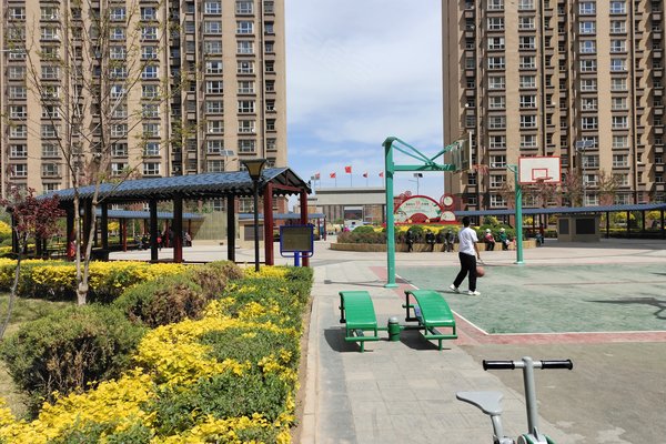 大寺新家园最新动态,自然美景的探索之旅,寻求内心平和宁静的居所