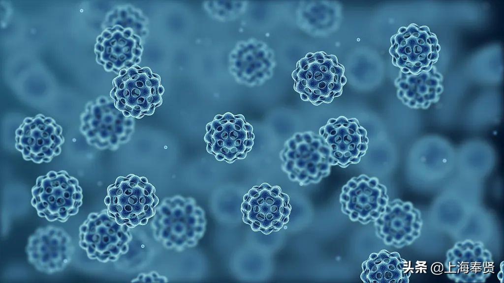 揭秘最新RSS资讯,解锁信息世界的门户之门