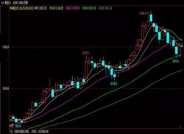豆油最新行情概览，市场走势分析与未来展望