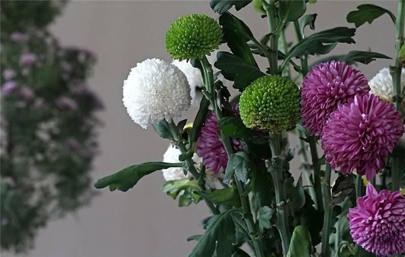 最新娱乐头条，跃上成功舞台的魔力之旅，自信与成就感的碰撞