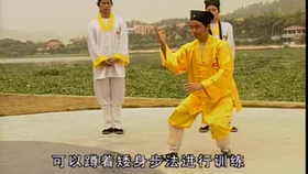太极最新音乐，传统与现代的完美融合艺术展现
