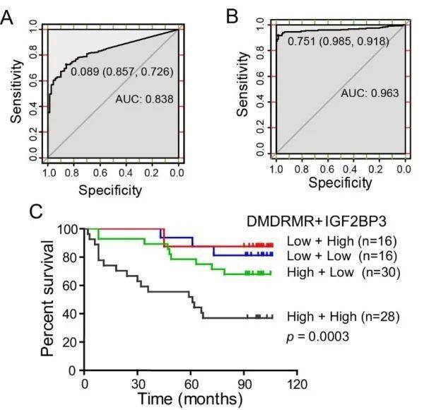 DMD(肌营养不良症)最新医学进展概述