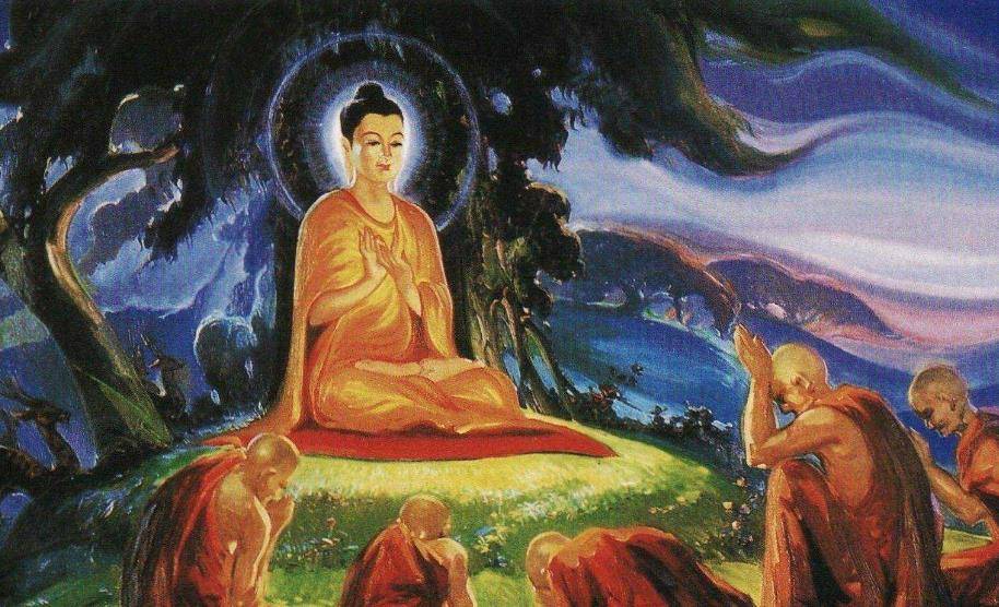 众生演变新探,最新版观点探析