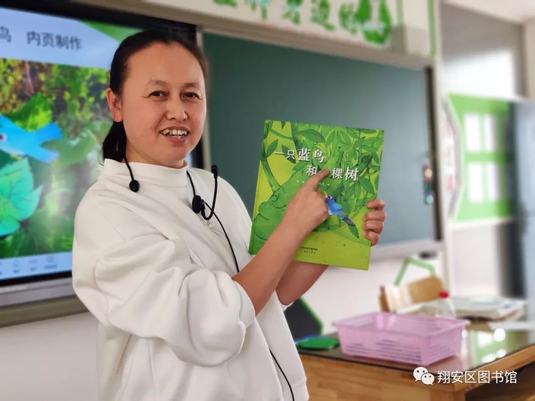 绿叶最新破解版,学习、变化与自信的无限力量之源