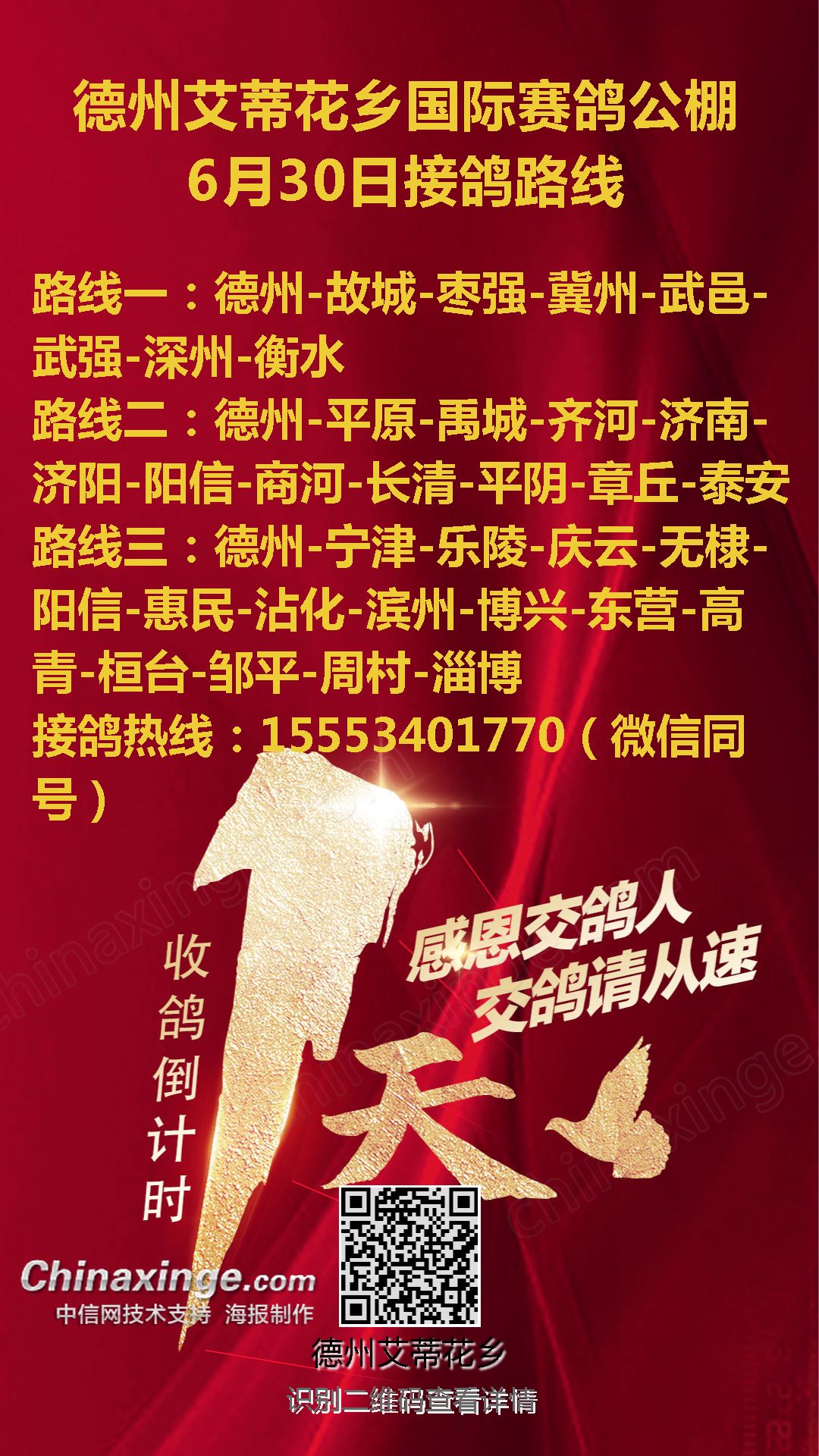 德州公棚最新公告揭秘,隐藏小巷的独家风味小店,错过即遗憾!