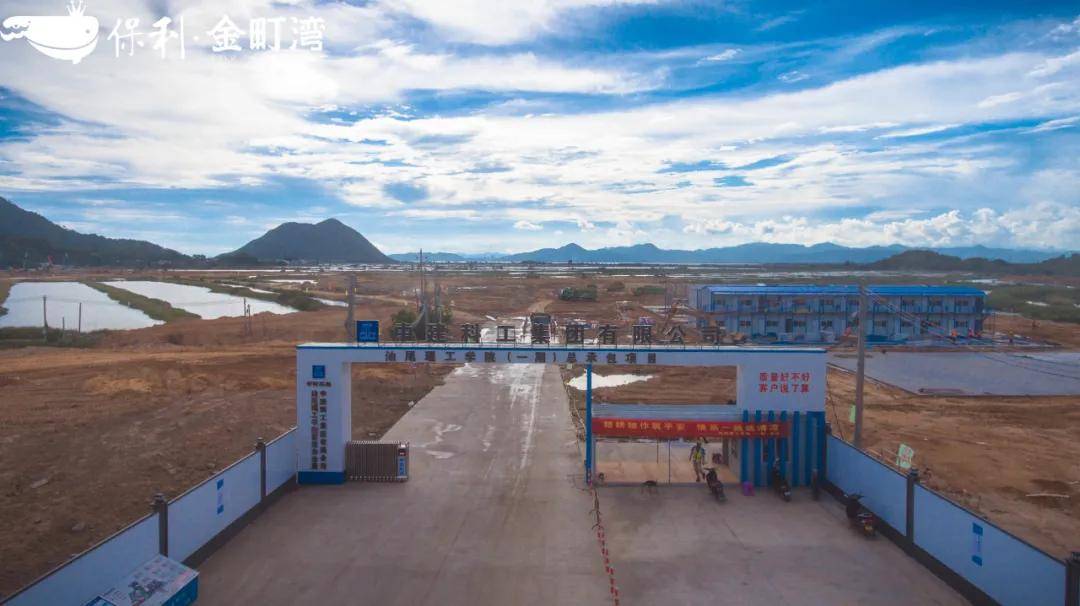 汕尾最新大项目揭秘，小巷深处的独特风味