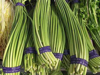 山东蒜苔最新价格指南，最新行情速递