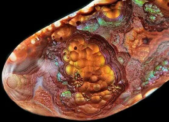 镇平贴吧科技新品亮相,体验未来生活新纪元最新动态