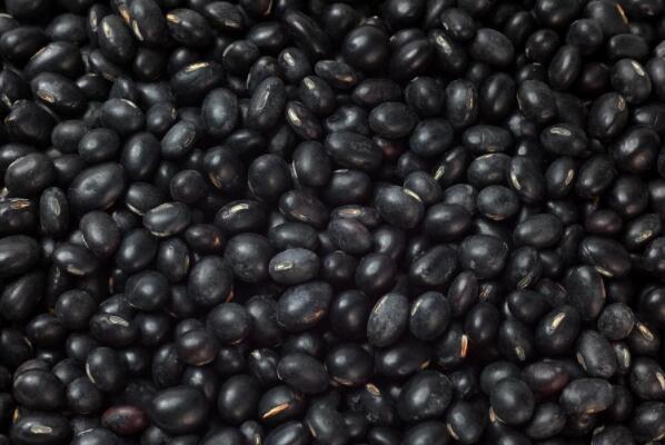 安徽黄豆价格最新行情与一粒豆子的励志故事