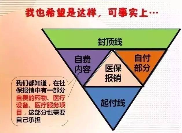 最新社保V型图步骤指南详解