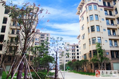 江西南丰最新房价分析与探讨