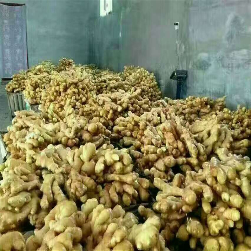 工矿灯具 第123页