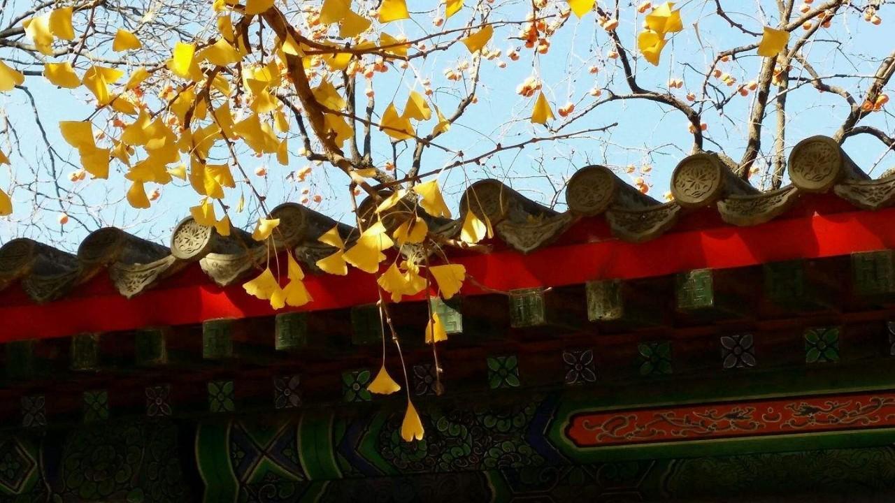 714路公交车最新路线全面解析与体验之旅