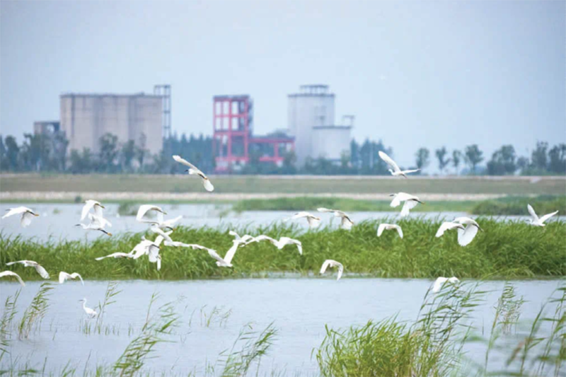 金坛山水网最新动态及相关观点解析