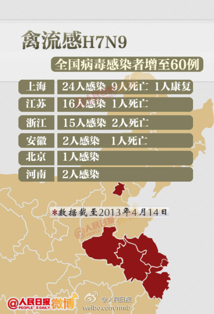 山东禽流感最新动态，友情与陪伴的温馨故事