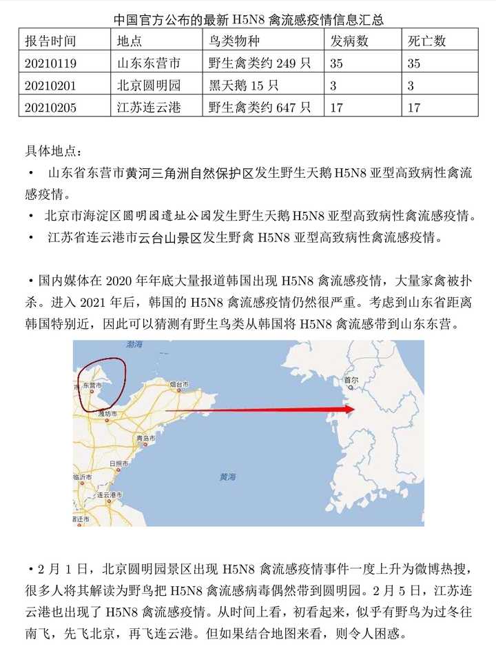 山东禽流感最新动态,友情与陪伴的温馨故事