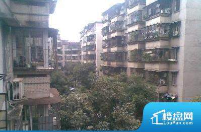 榴社区2024最新地址揭秘，科技前沿重塑生活体验新篇章