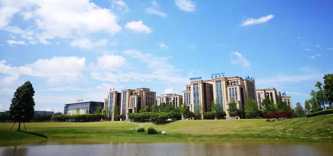 四创电子,小巷中的隐藏宝藏,魅力特色小店的最新动态