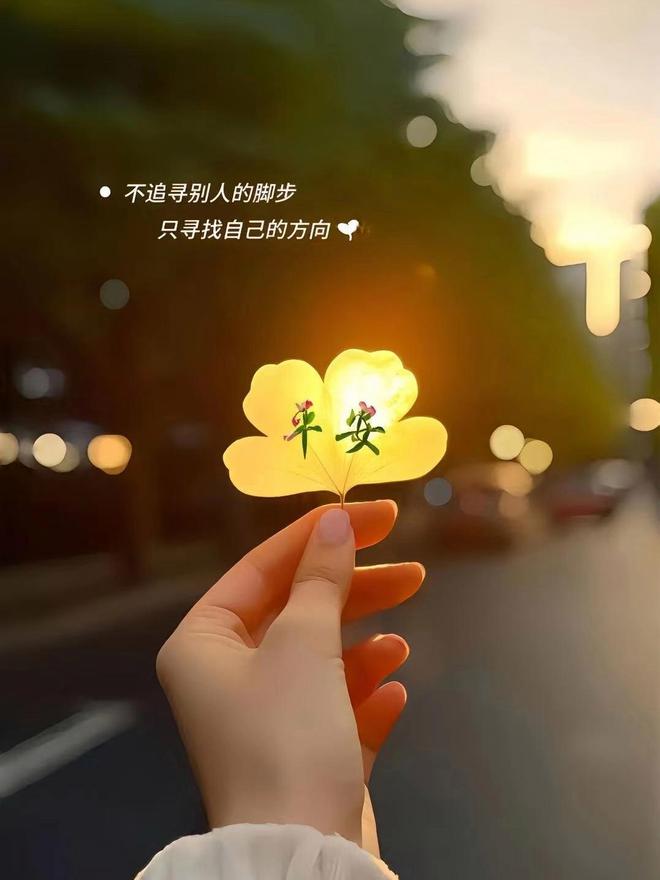 2025年温馨有趣的日常时光,最新说说分享