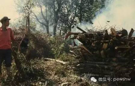 澜沧地震最新情况,科普解读与要点分析