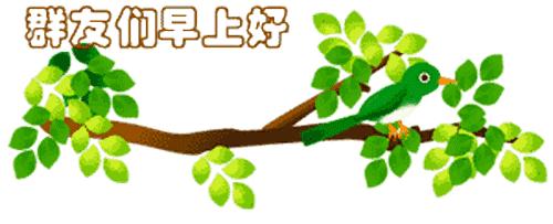 最新清晨祝福短信，晨曦中的温暖问候，传递美好祝愿与关怀