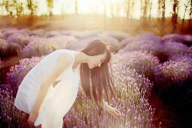 海伦遭遇最新车祸