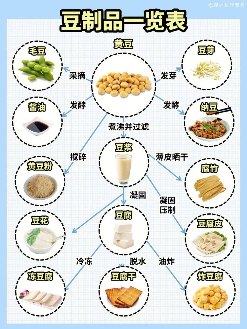 最新豆制品税率详解与解析