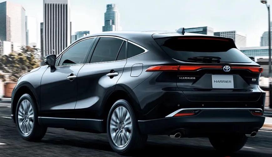 NX最新款，温馨日常趣事分享