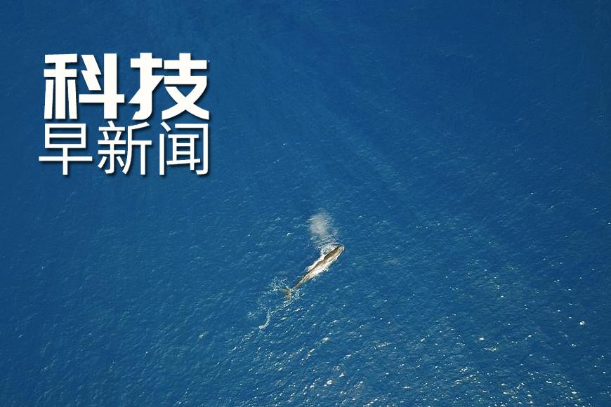 科技前沿新闻,引领未来,感受科技的魅力