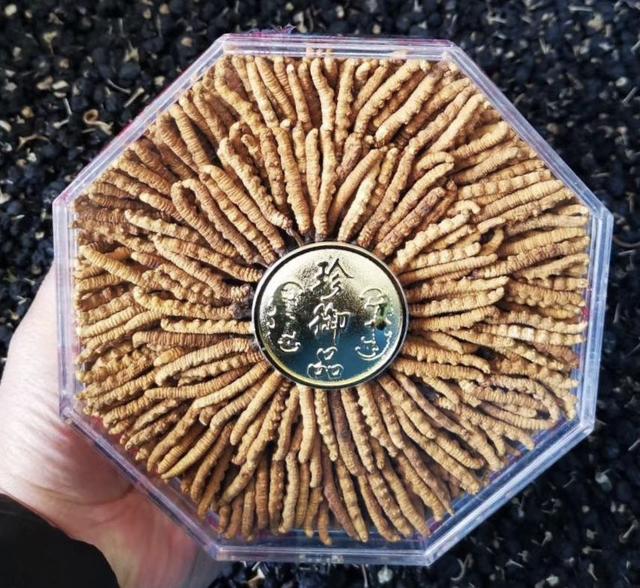 谢干最新价格及知识价值展现自信闪耀的魅力