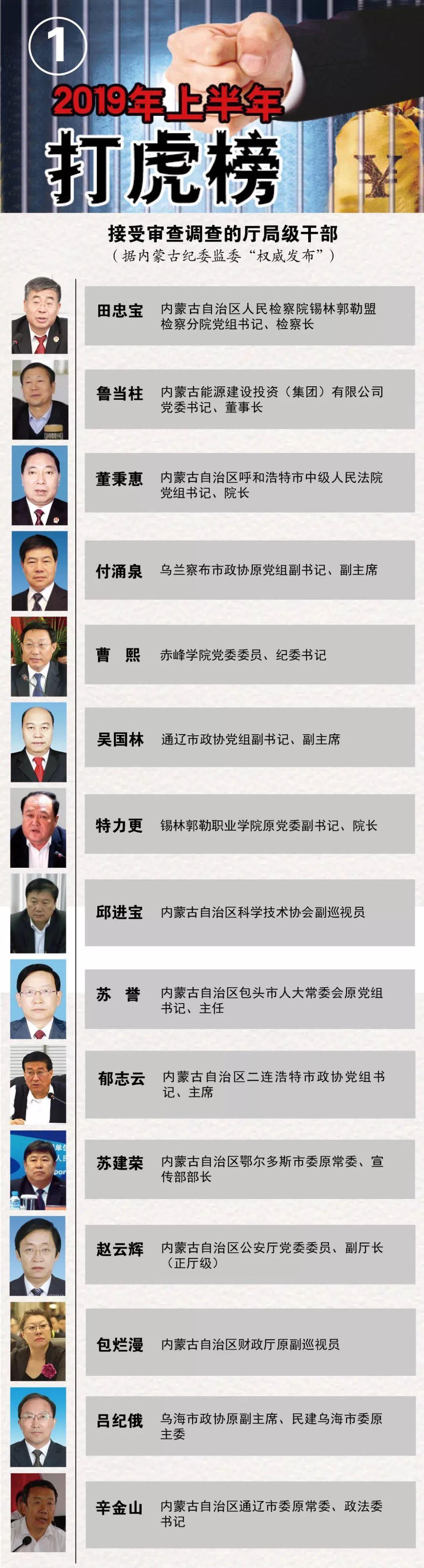 最新打虎情况与小巷特色小店的独特魅力探索