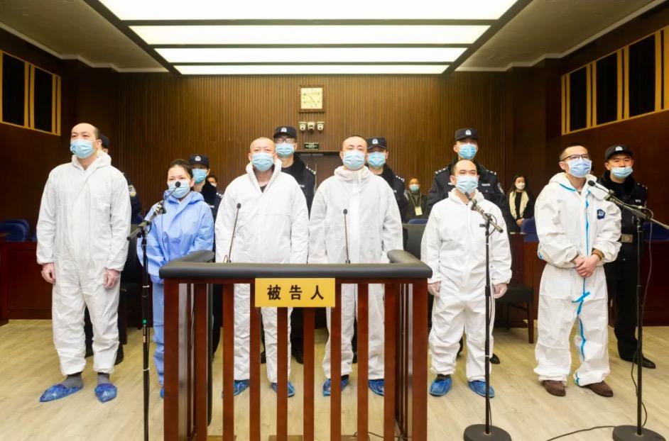 钱宝最新信息,科技驱动未来,钱宝引领时代潮流