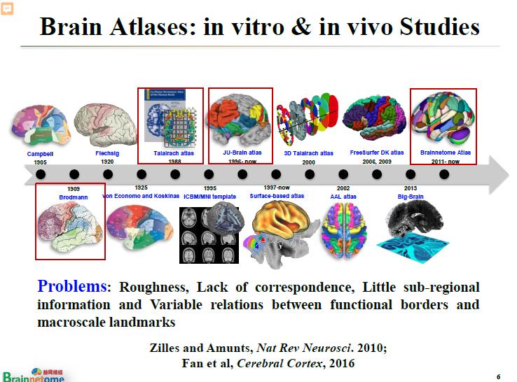 脑疾病最新研究,重塑大脑信心与成就感之路