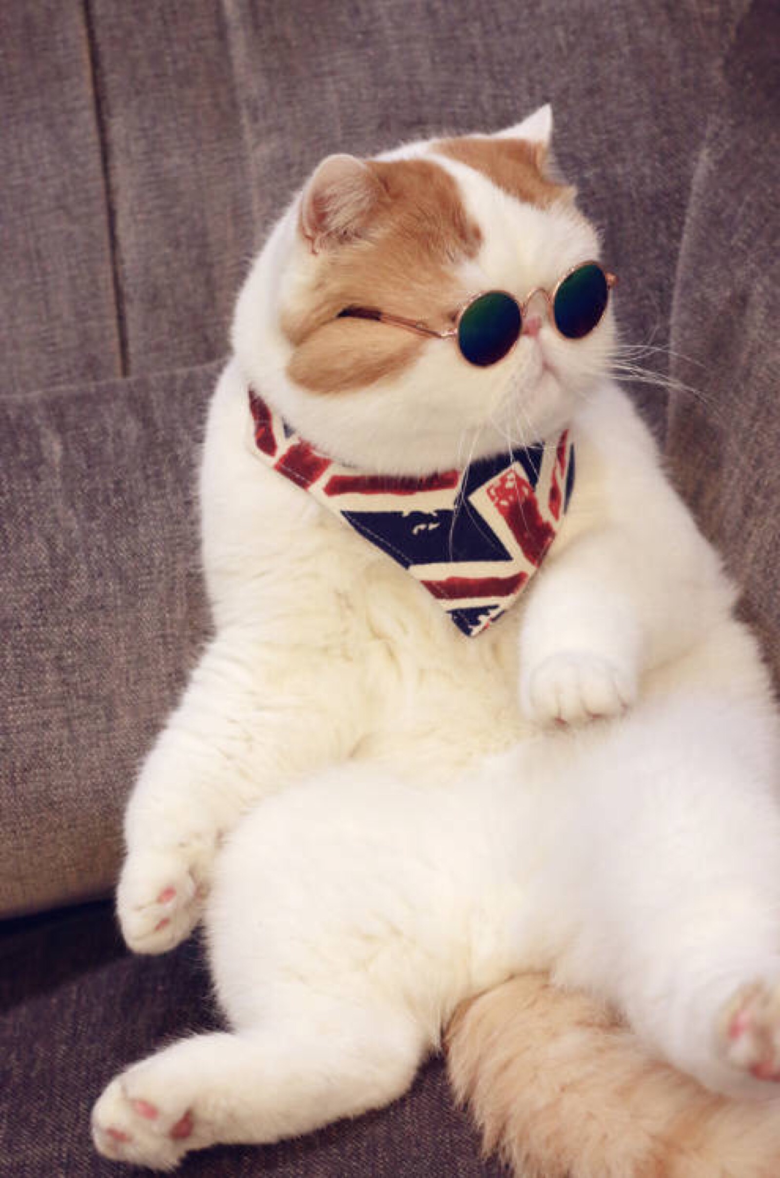 小胖Snoopy最新萌照,瞬间融化人心!