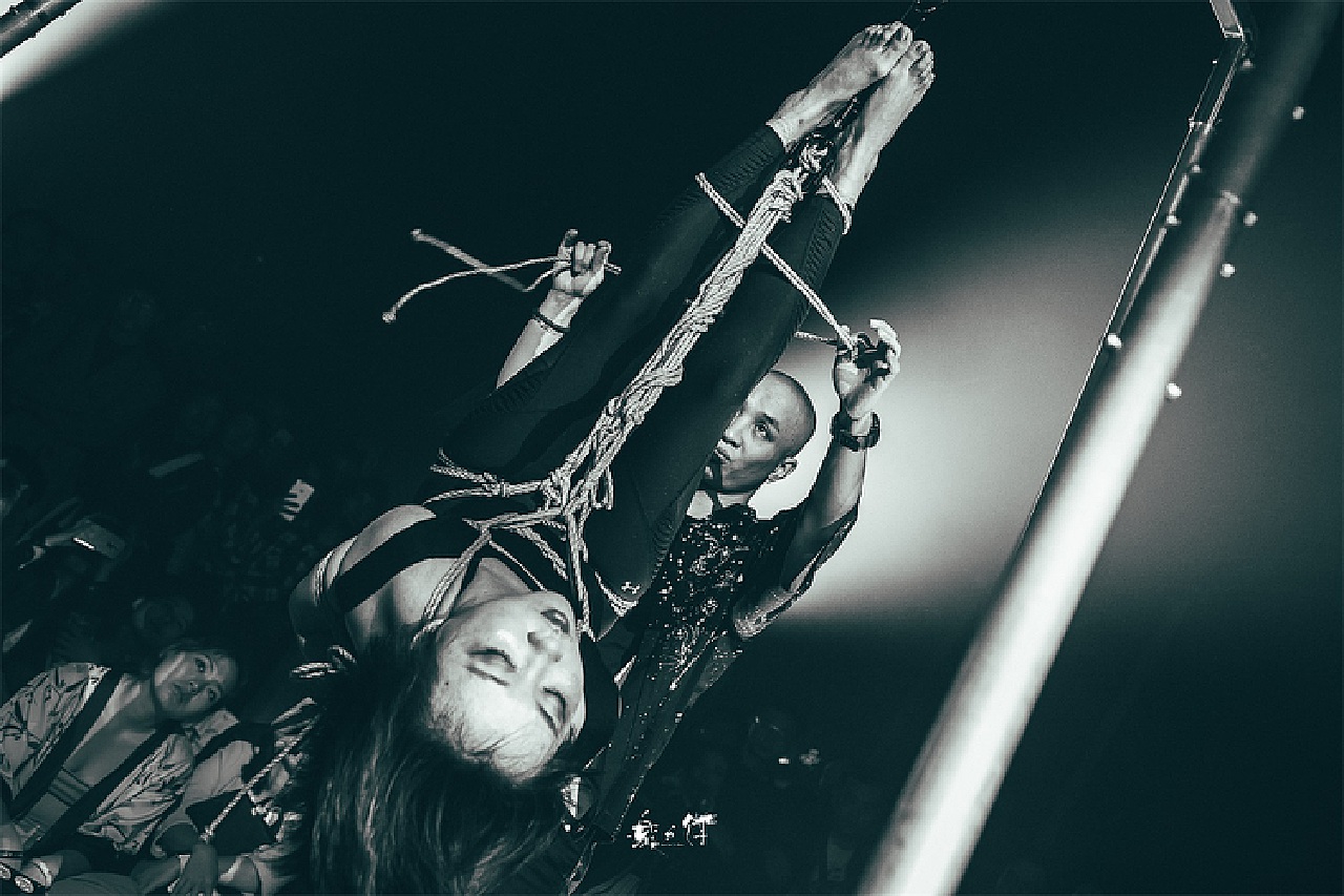 高科技重塑绳艺视频,传统艺术与现代生活的完美融合