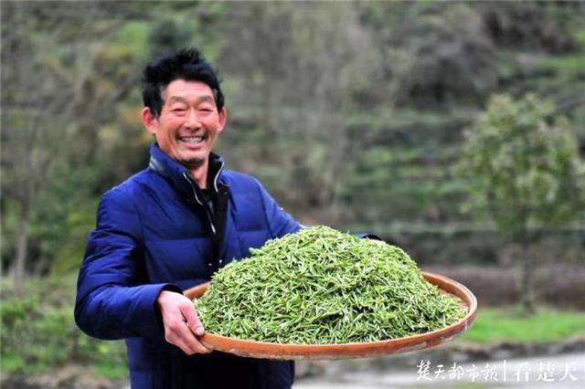 最新夷陵新闻,探索自然美景的旅程,寻觅内心平和之地