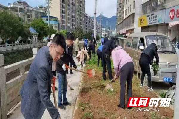 桂东最新新闻报道