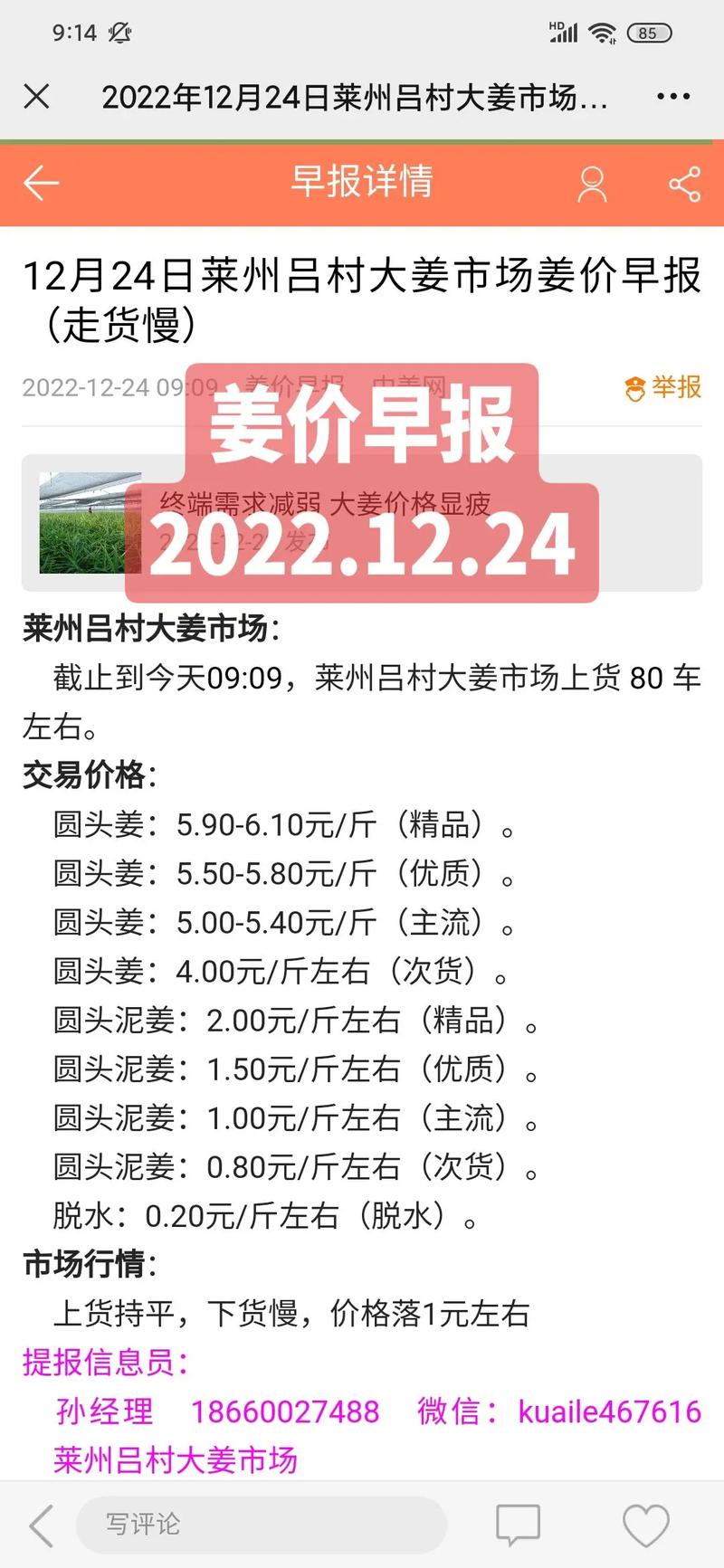 大大姜最新价格及购买种植指南