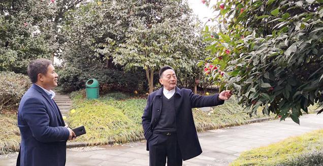 最新花木求购，开启一场寻绿之旅的温馨旅程