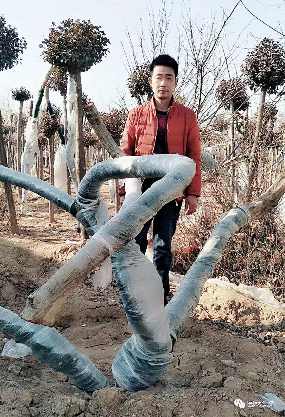 定州最新急招工,时代的呼唤与行业重塑的挑战