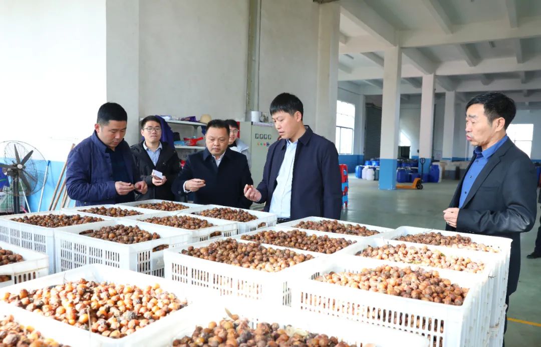 建宁最新新闻，城市温馨日常与友情力量的展现
